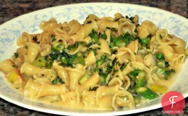 Massa vegetal de primavera-Cozinha De Teste da América