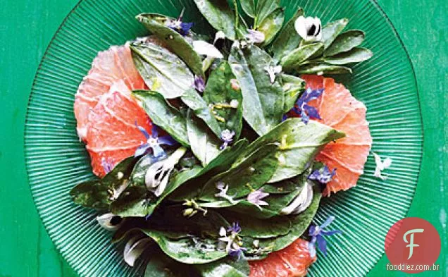 Fava Verde, Grapefruit, e salada de flores