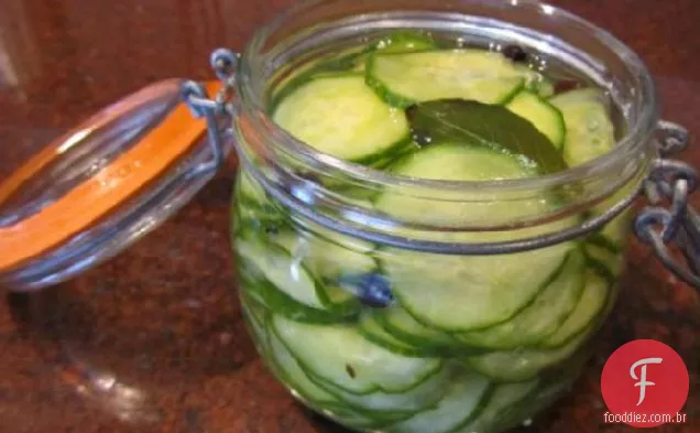 Pepinos em conserva rápidos da Aquavit