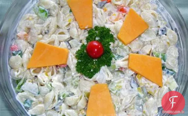 Salada da massa do escudo do mar ou salada da massa do Wheelie