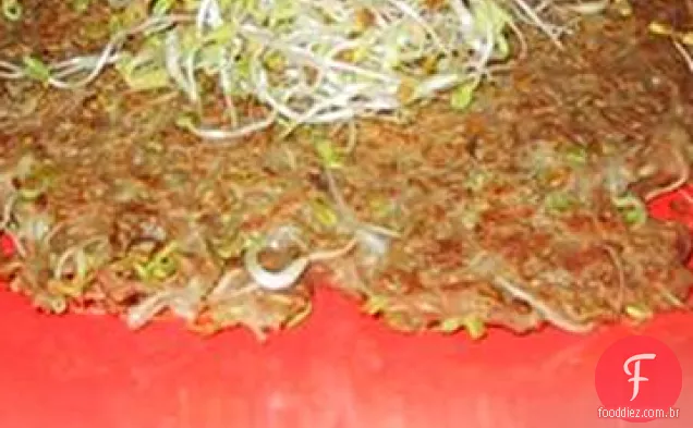 Gingery Mung Feijão Brotos Panqueca