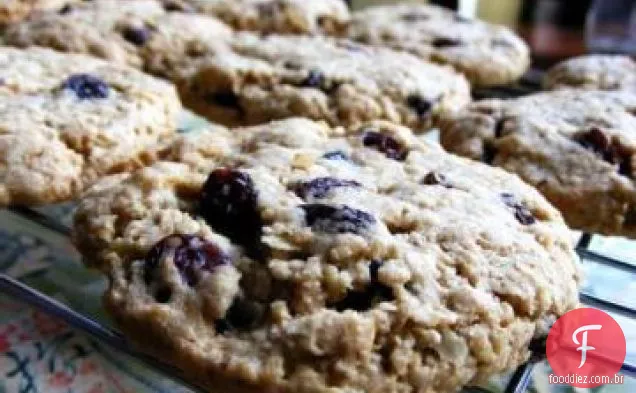 Vegan Canela Aveia Passas Biscoitos