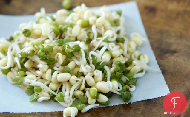 Curly Kale E Mung Bean Slaw