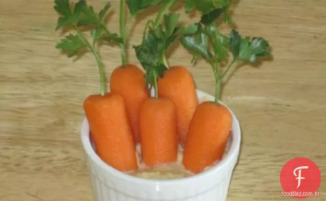 Remendos De Cenoura