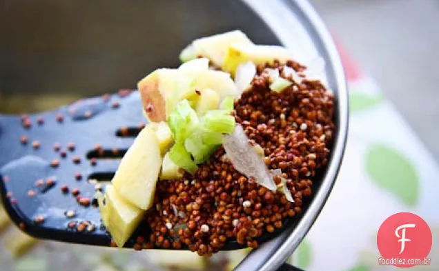 Salada Quinoa Harvest