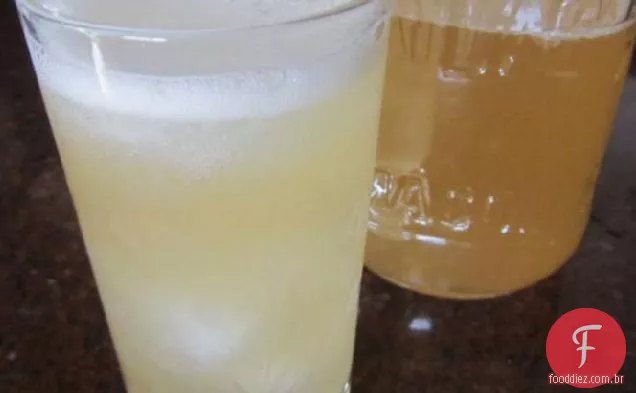 Kefir De Água