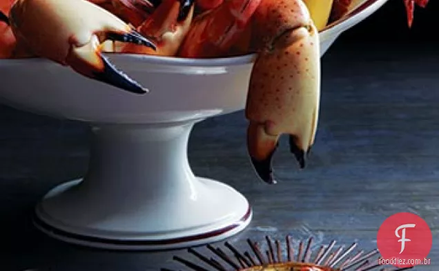 Espécimes em alto mar com molho de coquetel diabolicamente quente