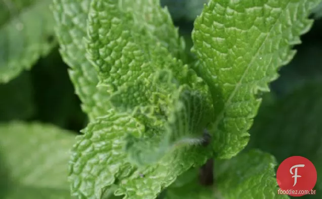 Hortelã e verde Chile Granita