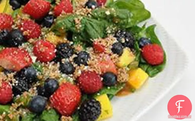 Salada Fruta Manga Berry