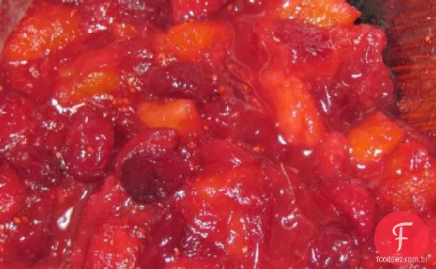 Molho de Cranberry com damascos e Splenda