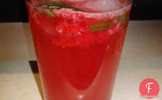 Refrigerador De Framboesa (Bebida Não Alcoólica)