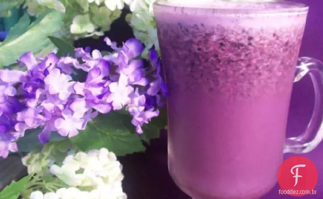 Diabetic Blueberry Fizz