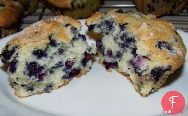 Muffins enormes do mirtilo de Mimi