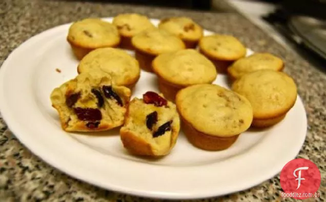 Blueberry (Ou Chocolate Chip) Mini Muffins
