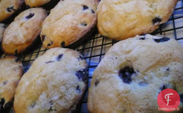 Fant-Muffins De Mirtilo Fáceis