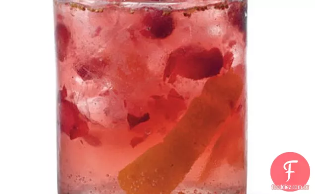 Laranja-Cranberry Gin e tônico