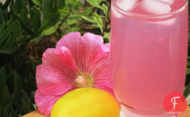 Splenda Pink Lemonade