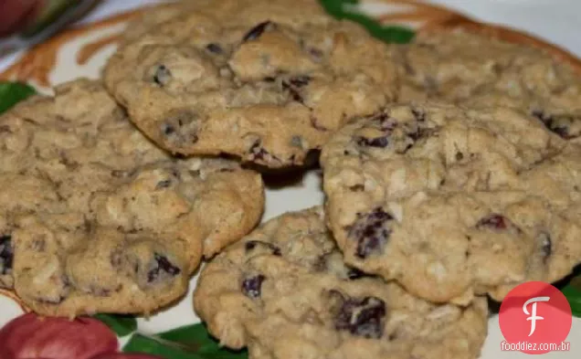 Biscoitos de especiarias de Cranberry e aveia