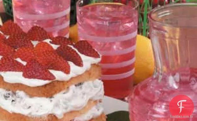 Coquetel De Suco De Cranberry Virgem