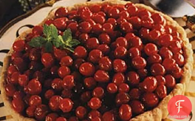 Torta de Chocolate com Cranberries cristalizadas