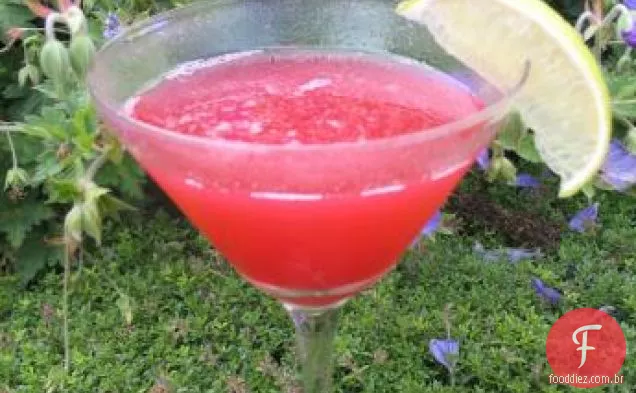 Tequila Mockingbird