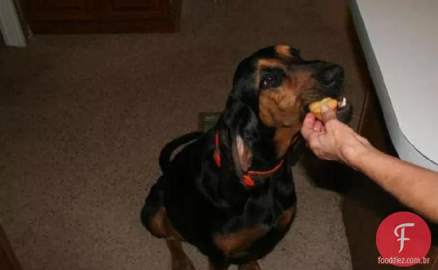 Dog Doggie Bolo De Aniversário