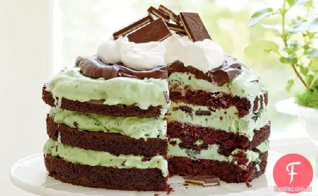 Mint Chocolate Chip Ice-Cream Cake