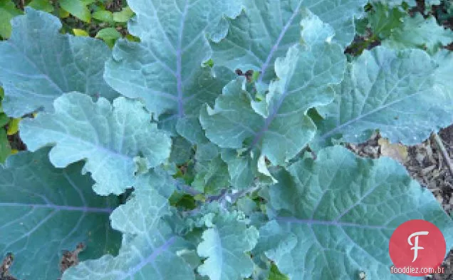 Collards E Arroz