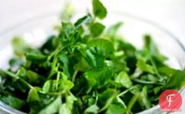 Salada De Agrião Murcha