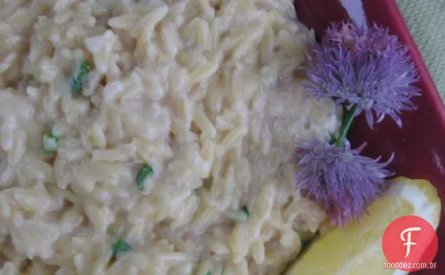 Big Daddy limão pimenta Orzo