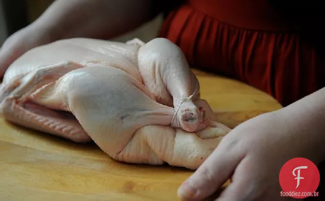 Pato Gengibre