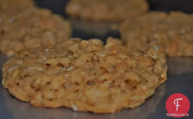 Biscoitos De Chocolate Com Aveia (Sem Ovos)
