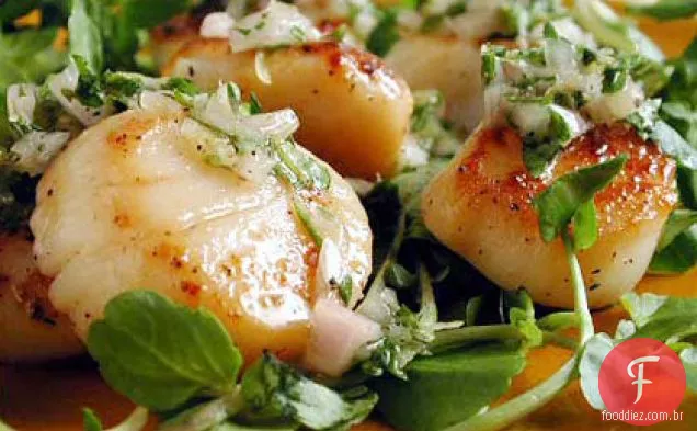 Vieiras grelhadas com salsa-tomilho sabor