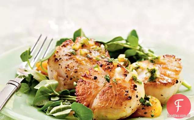 Vieiras marinhas grelhadas com Satsuma, salsa e salsa de chalota
