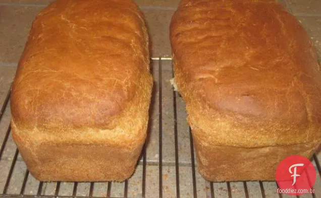 Abacaxi Assado Com Esmalte Balsâmico Mel E Queijo De Cabra Fresco