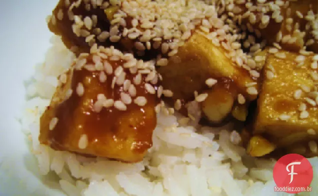 Vegan Teriyaki Fritar.