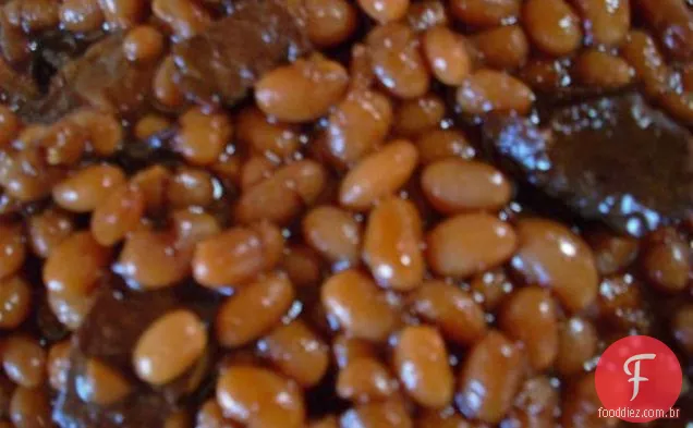Log Seitan Cozido
