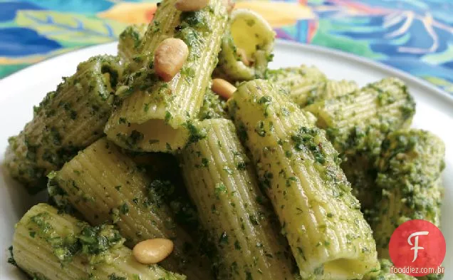 Sálvia E Rúcula Pesto
