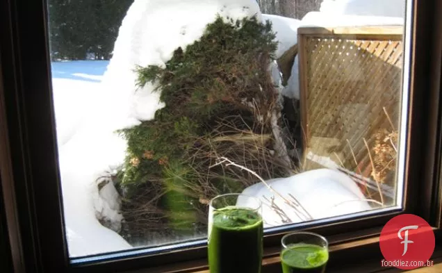 Kale Smoothie