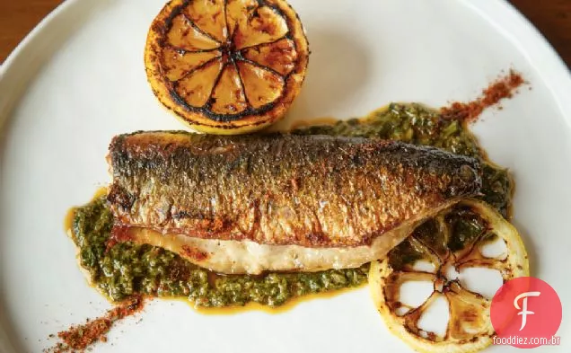 Chermoula Básico