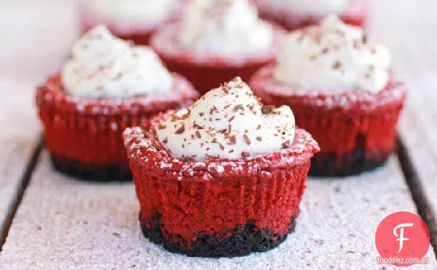 Vermelho Veludo Cheesecake Mini Tortas