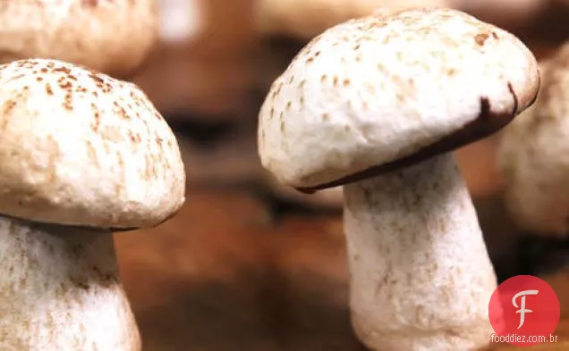 Cogumelos Merengue