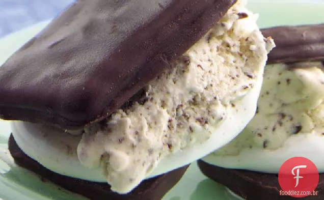 S'mores Chocolate Chip Ice-Cream Sandwiches