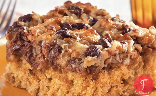 Chocolate Chip Oatmeal Cake