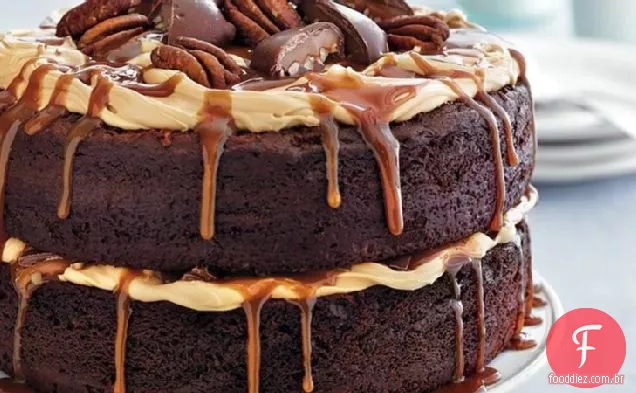 Bolo Da Camada Da Tartaruga Do Chocolate