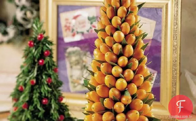 Kumquat e árvore de folha de louro