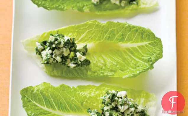 Chimichurri Romaine Colheres