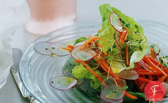 Alface Butterhead E Salada De Legumes Primavera