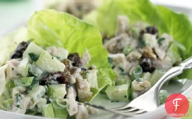 Saudável Peru Maçã Salada Wraps