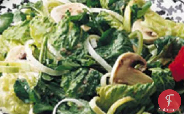 Elegante Salada Lançada
